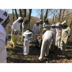 formation d'apiculture pour débutant