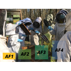 Formation pour découvrir l'apiculture en Essonne