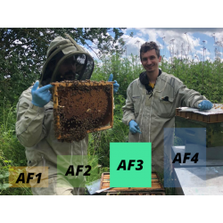 KINTRADE 1 Set de numéro de ruche rouge Identification abeille Boîte de Signal Cadre de lApiculture Outils de marquage Numéros de carte numérique en plastique