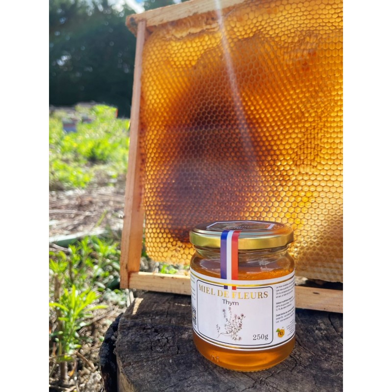 Miel des abeilles, la ruche, la société des abeilles - MIEL IN FRANCE