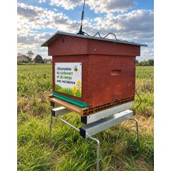 Ruche posée sur une balance connectée dans un rucher en plein champ, antenne fixée sur le toit