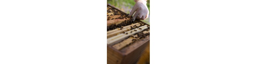Acheter du miels, de la cire et du pollen produits en Essonne Yvelines