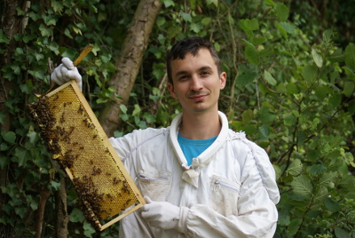 L'apiculteur sélection buckfast